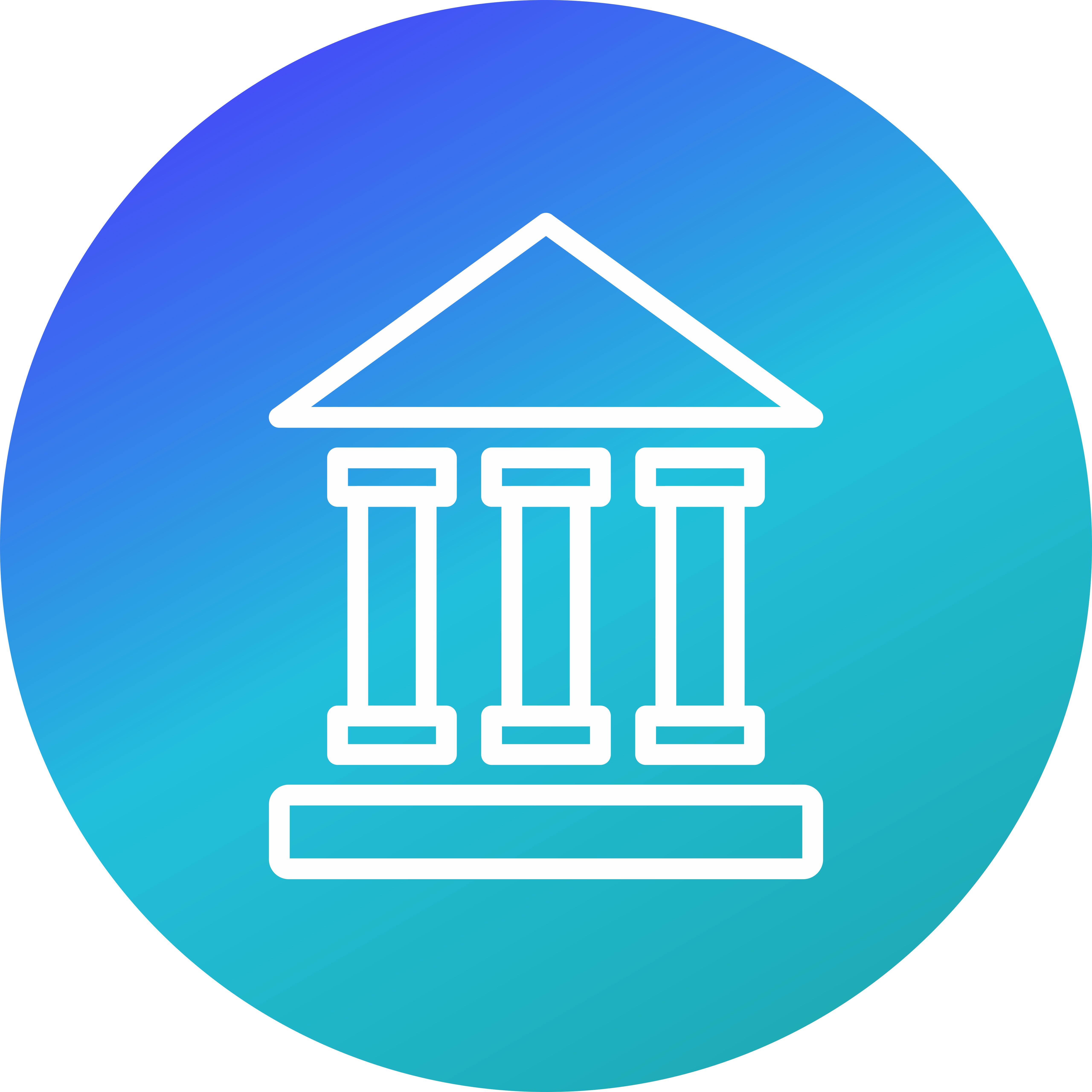 Institutions